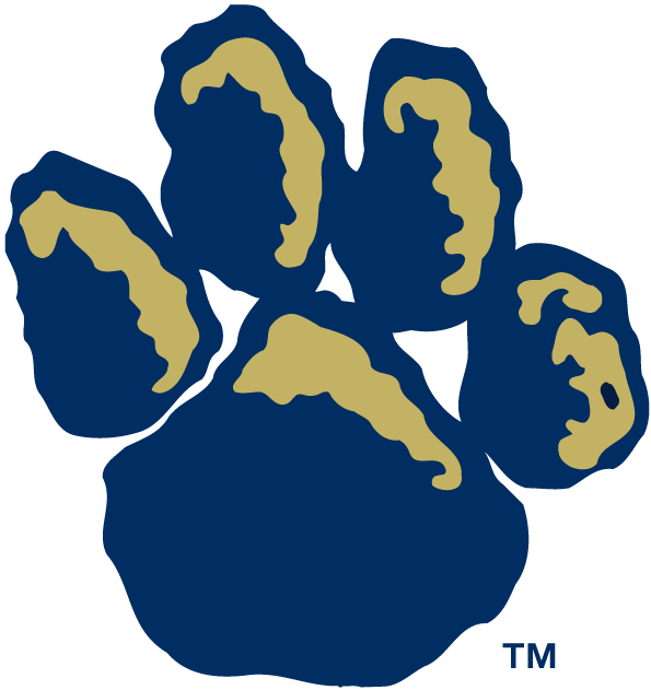 Pittsburgh Panthers 1997-Pres Alternate Logo v2 diy iron on heat transfer